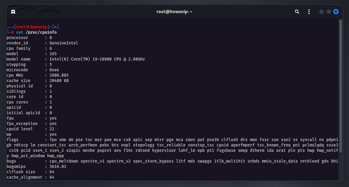 cpuinfo command - howsnip