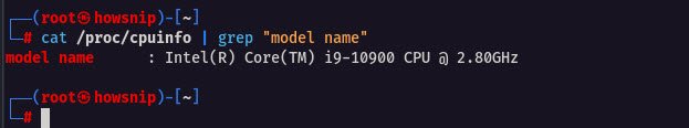 cpuinfo grep command - howspin