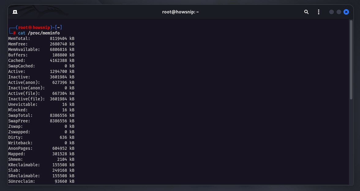 meminfo command - howsnip