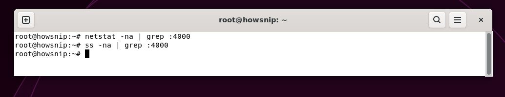 check open port - howsnip