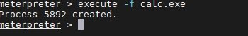 execute process howsnip