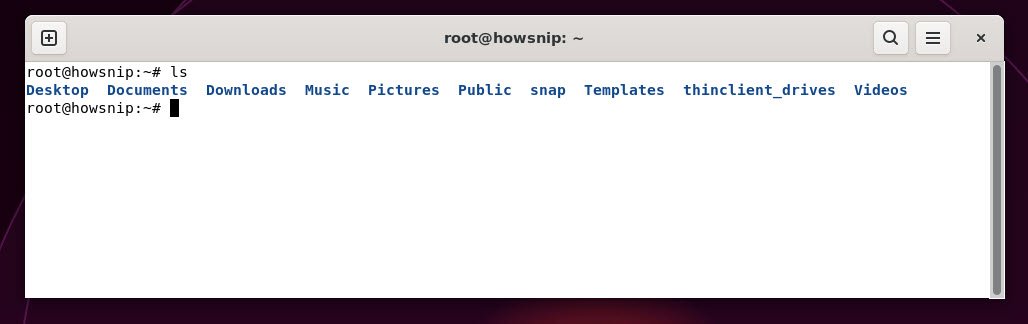 ls command - howsnip