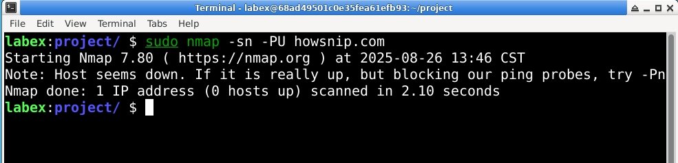 nmap udp scan host up howsnip