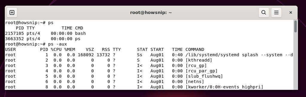 ps command - howsnip