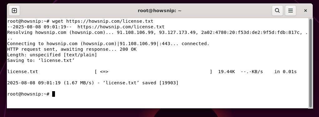 wget command - howsnip