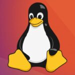 Check Linux Version
