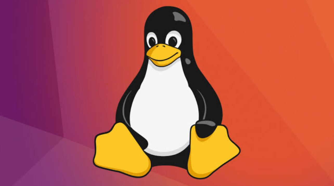 Check Linux Version