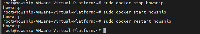 Docker Commands Howsnip