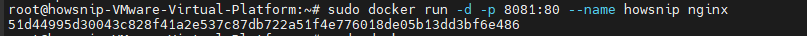 Docker Commands Howsnip