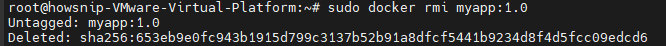 Docker Commands Howsnip