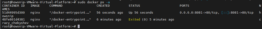 Docker Commands Howsnip