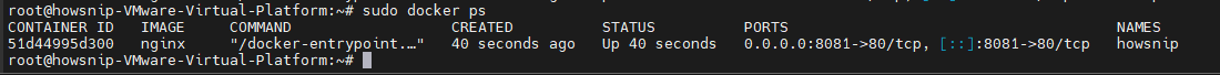 Docker Commands Howsnip