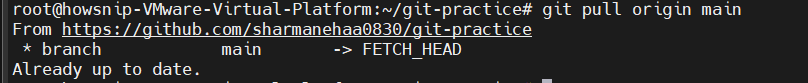 Essential Linux Commands Howsnip