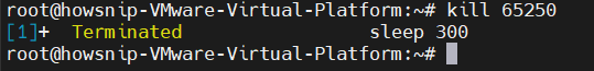 Essential Linux Commands Howsnip