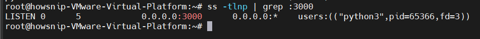 Essential Linux Commands Howsnip