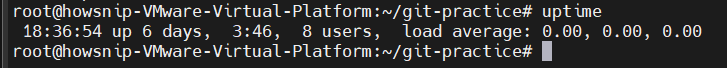 Essential Linux Commands Howsnip