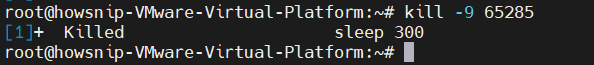 Essential Linux Commands Howsnip