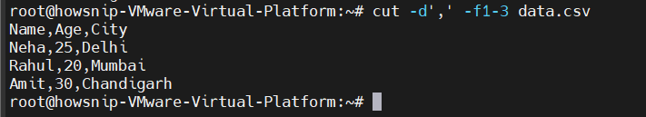 Essential Linux Commands Howsnip