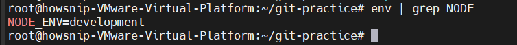 Essential Linux Commands Howsnip