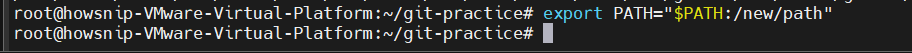 Essential Linux Commands Howsnip