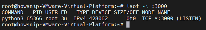 Essential Linux Commands Howsnip