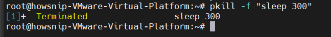 Essential Linux Commands Howsnip