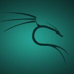 Essential Software Kali Linux