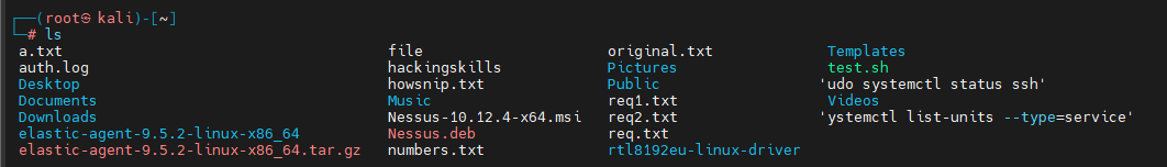 Kali_Linux_Common_Commands_Howsnip