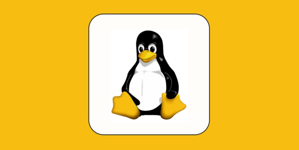 Linux Networking Commands Howsnip