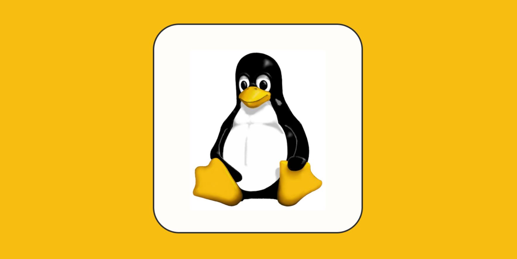 Linux Networking Commands Howsnip