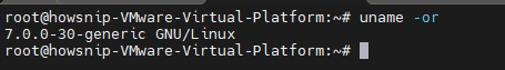 Linux Version Howsnip
