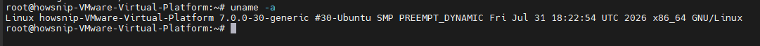 Linux Version Howsnip