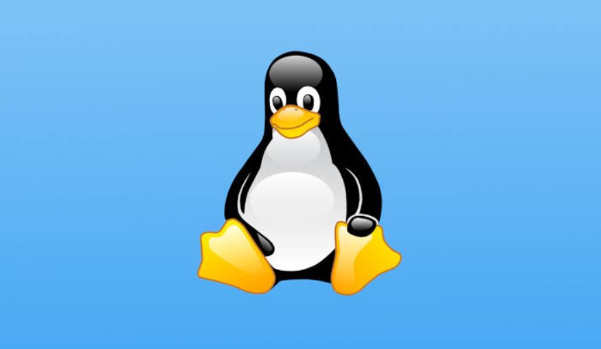 Linux Word Count Howsnip