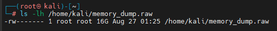 Memory_Dump_Analysis_Howsnip
