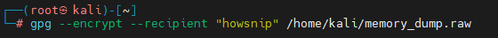 Memory_Dump_Analysis_Howsnip