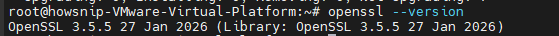 Self-Signed_Howsnip