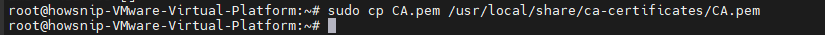 Self-Signed_Howsnip
