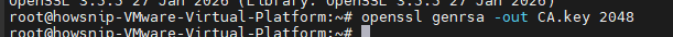Self-Signed_Howsnip