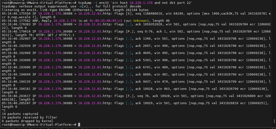 TCPDump Commands Howsnip