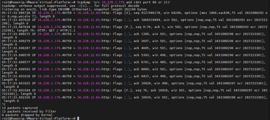 TCPDump Commands Howsnip