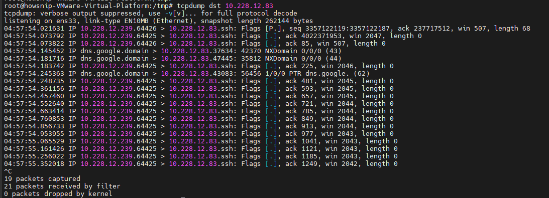 TCPDump Commands Howsnip