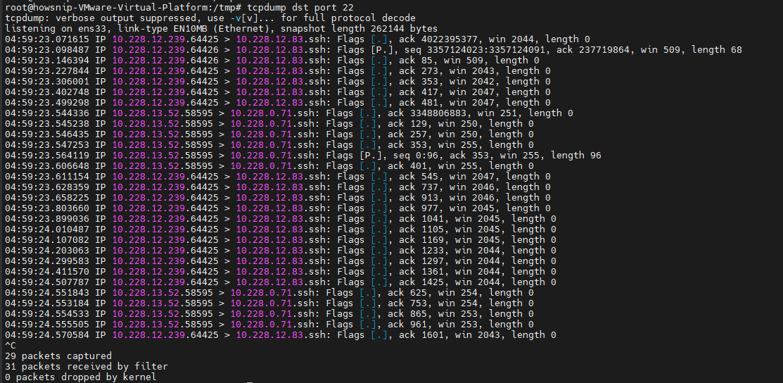 TCPDump Commands Howsnip