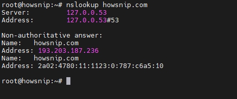 nslookup