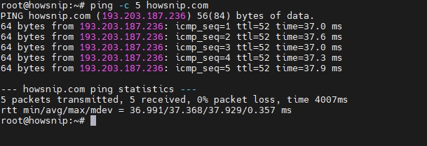 ping c 5 command