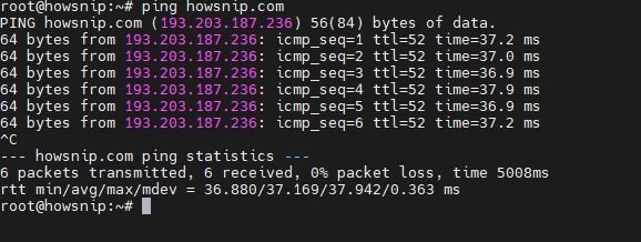 ping command