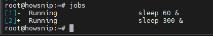 Linux Commands Howsnip