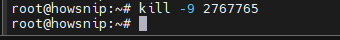 Linux Commands Howsnip