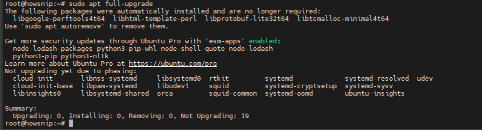 APT Command Linux Howsnip