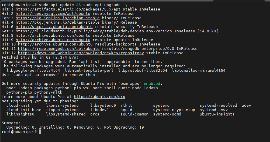APT Command Linux Howsnip