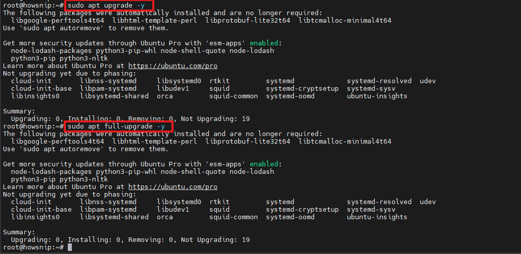 APT Command Linux Howsnip